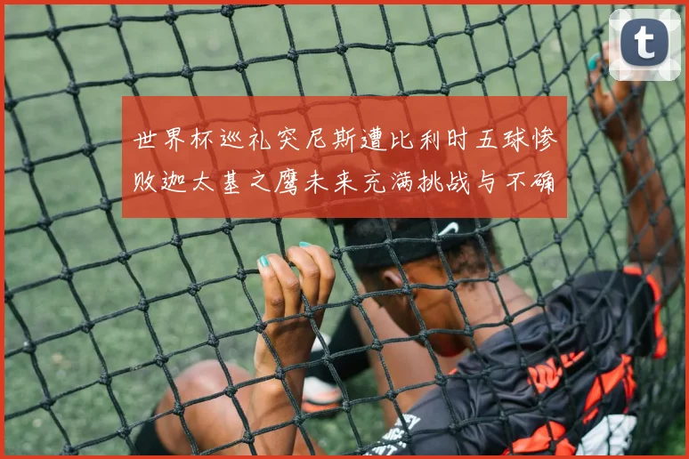 世界杯巡礼突尼斯遭比利时五球惨败迦太基之鹰未来充满挑战与不确定性